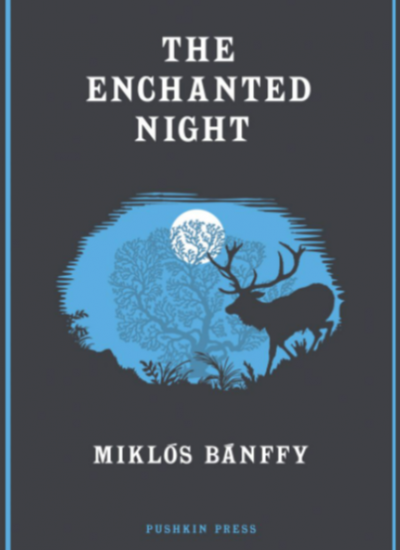The Enchanted Night